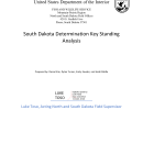 South Dakota Determination Key Standing Analysis