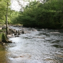 Image of a flowing river surrounded by tree