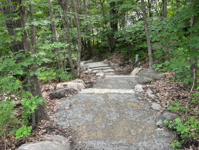 a stone stairway leads down into the forest