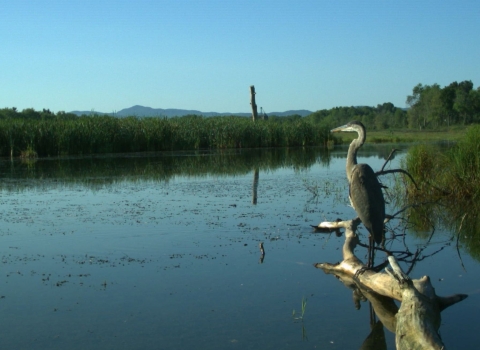 LCFWCO - Wetland Restoration Completed