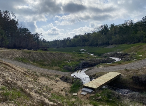 A wooden bridge across a meandering stream.