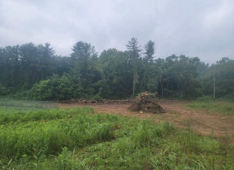 Storm damage - 300 ft of logs piled 10ft high and 15ft wide with a 5ton debris pile