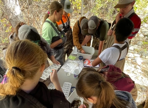 a group of students crowd a table with white tubs full of macroinvertebrates and detritus/decaying leaves