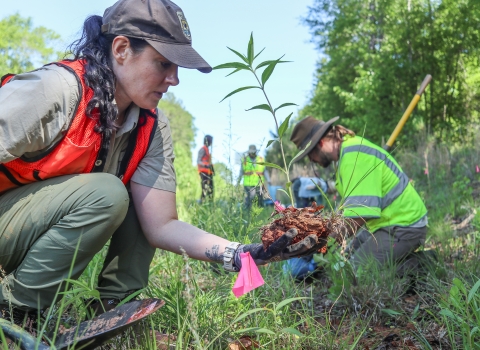 Woman in low brush, holding a plant and its root ball, with others in the background