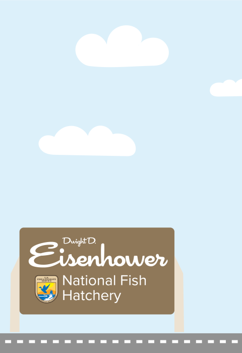 A graphic featuring a light blue sky with puffy clouds. At the bottom of the graphic, a fish drives a car along a road toward a sign that reads "Dwight D. Eisenhower National Fish Hatchery"