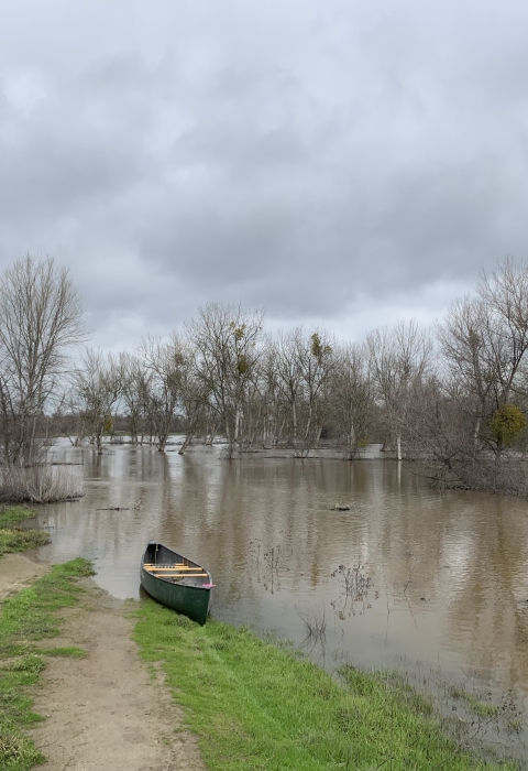 brown floodwaters cover the roots of trees. A canoe is on the shore where a dirt rode disappears into the water.