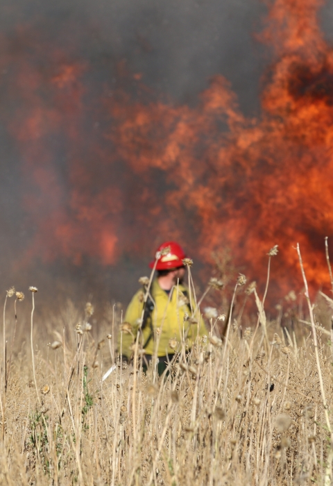 person in red hat and yellow suit in a grassy field with a smoking fire in the background