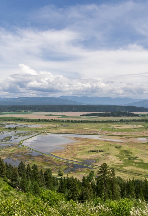 A panoramic view of Kootenai NWR