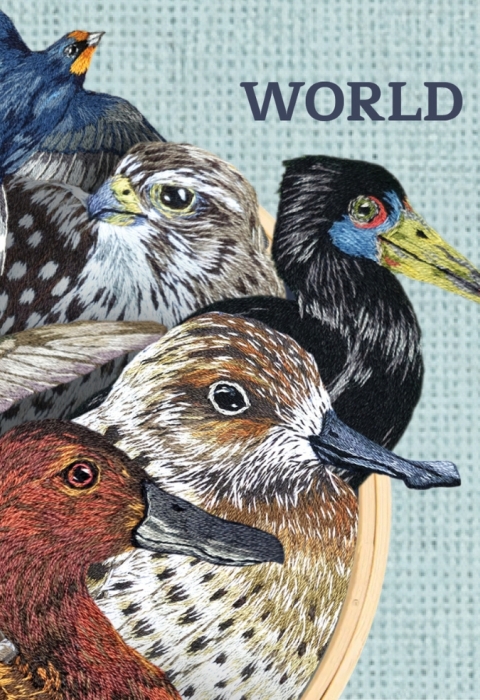 7 birds on 2026 world migratory bird day graphic