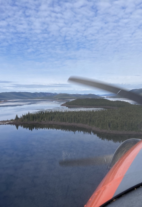 view of landscape plane
