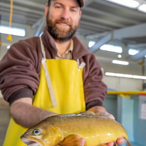 Man holding fish outward towards viewer.