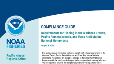 A snapshot of the first page for the compliance guide