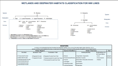 Thumbnail of Wetlands and Deepwater Habitats Classification for NWI Lines document.