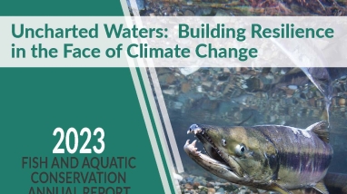 Graphic cover of the 2023 Fish and Aquatic Conservation Annual Report. Contains the image of a salmon swimming in clear water. Text reads "Uncharted waters: Building Resilience in the Face of Climate Change"