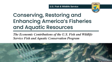 The font cover of an economic report titled: "Conserving, Restoring and Enhancing America’s Fisheries and Aquatic Resources"