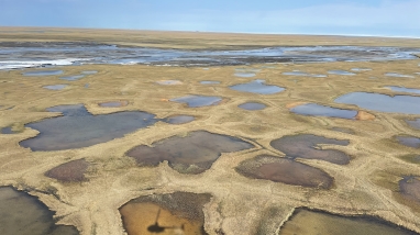 Wetlands of the Arctic Coastal Plain