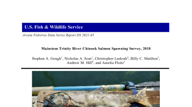Mainstem Trinity River Chinook Salmon Spawning Survey, 2018