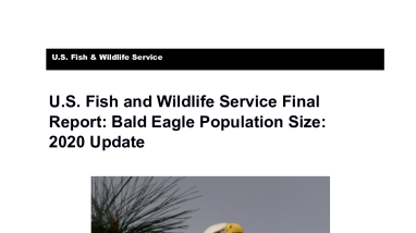 U.S. Fish and Wildlife Service Final Report: Bald Eagle Population Size: 2020 Update