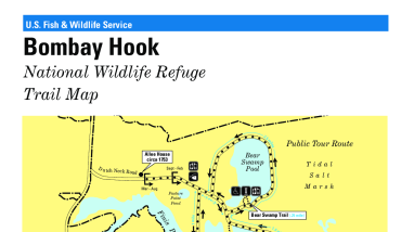 2024 Bombay Hook NWR Trail Map Brochure
