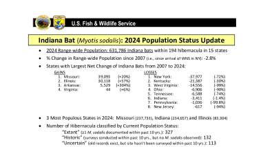 Indiana Bat Population Estimate