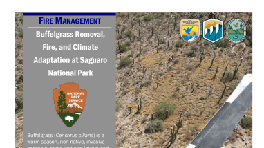 Buffelgrass Removal, Fire, & Climate Adaptation Handout