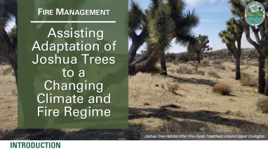 Assisting Adaptation of Joshua Trees to a Changing Climate and Fire Regime Case Study Handout