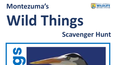 Montezuma's Wild Things Scavenger Hunt