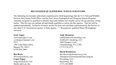 New Jersey Recognized Qualified Bog Turtle Surveyors