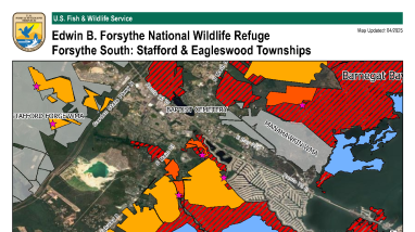 Stafford & Eagleswood Townships Hunt Areas, Edwin B. Forsythe National Wildlife Refuge