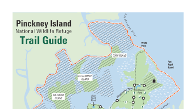 Pinckney Island National Wildlife Refuge Trail Map
