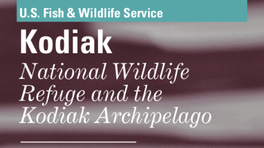 Kodiak NWR Bird List