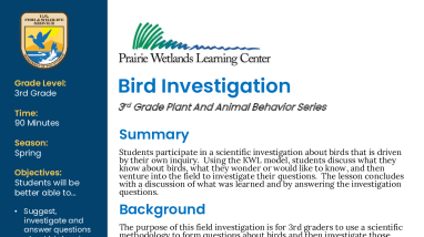 3rd Grade Spring Bird Investigation