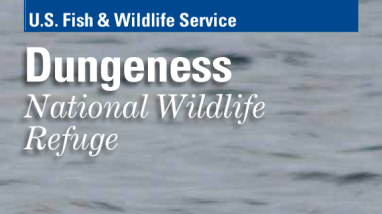 Dungeness NWR Brochure