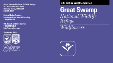 Great Swamp National Wildlife Refuge Wildflower Brochure