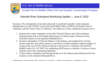 Klamath River Outmigrant Monitoring Update — June 6, 2022