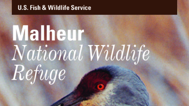 Malheur NWR General Brochure