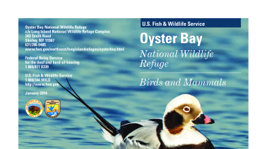 Oyster Bay Bird List.pdf