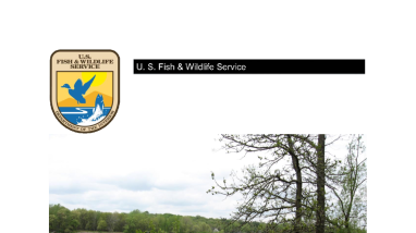 National Wetlands Inventory Mapping Report - R09Y16P01