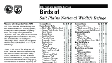 Salt Plains National Wildlife Refuge Bird List 
