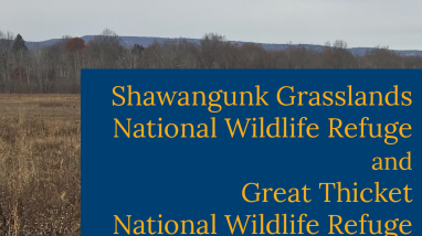 Shawangunk Grasslands and Great Thicket - Housatonic Unit NWRs Big Game Hunt Plans September 2022