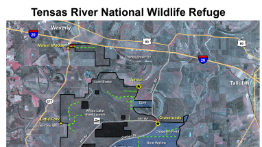 Tensas River NWR Georeferenced Hunt Map 2020