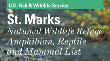 Amphibians, Reptiles, and Mammals of St. Marks NWR