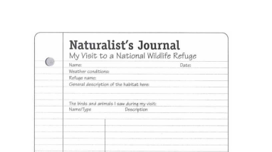 journal page.pdf
