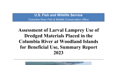 Assessment of Larval Lamprey Use of Dredged Materials Placed in the Columbia River at Woodland Islands for Beneficial Use, Summary Report 2023