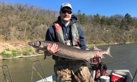 Man hold lake sturgeon that is around 3 feet long