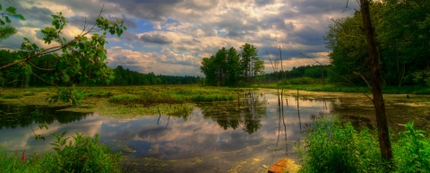 Puffer Pond at Assabet River National Wildlife Refuge 