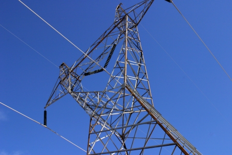 Worm's eye view of electrical transmission lines.