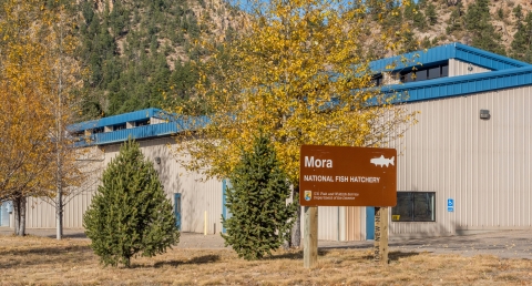 An exterior view of the Mora National Fish Hatchery building and sign.