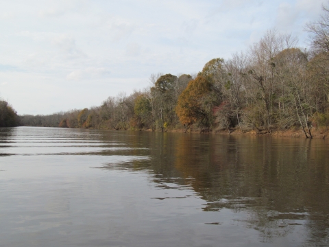 A mix of orange and bare trees line a broad, calm river