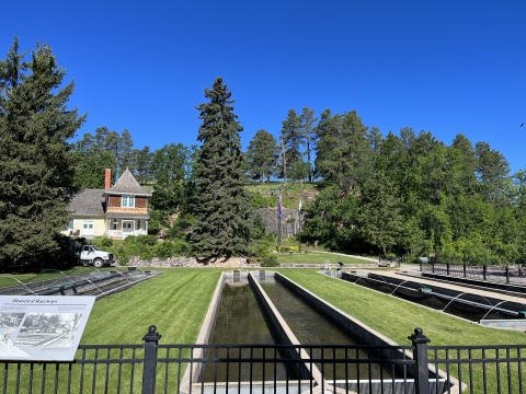 Hatchery rearing ponds, interpretive panel and museum building surrounded by green grass and pine trees.